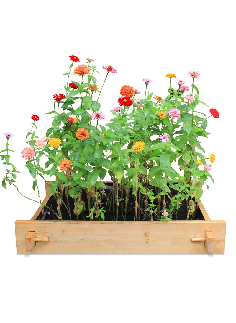 Explorer Greencorner raised gardenbed 3 feet x 2 feet x 23 cm. Ecofriendly wooden bed for growing vegetables, flowers, herbs, and root vegetables. - Image 1