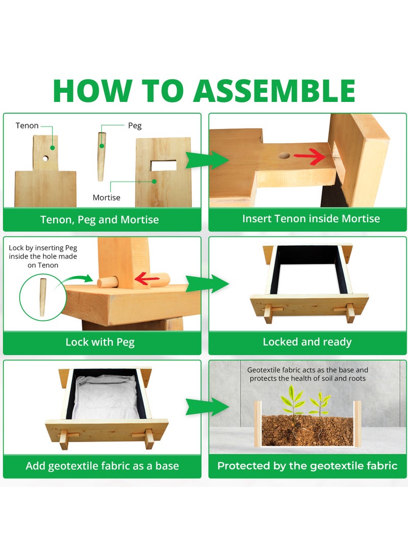 Explorer Greencorner raised gardenbed 3 feet x 2 feet x 23 cm. Ecofriendly wooden bed for growing vegetables, flowers, herbs, and root vegetables. - Image 3