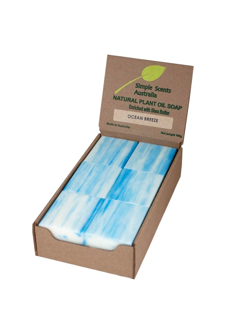 Simple Scents Australia Ocean Breeze Scented Natural Soap Bars 12 Bars 35oz Moisturizing French Triple Milled Soap Bars Enriched with Shea Butter  Pure Plant Oil Bath  Body Soap Bars 