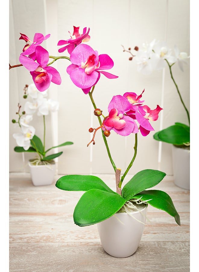 Restaurantware مطاعم - 4 × 15 بوصة أوركيد العثة الاصطناعية، 12 أوركيد مزروعة مزيفة - 8 أزهار، استخدمها كقطع مركزية، ديكور منزلي أو مكتبي، أوركيد مزيف بلاستيكي بلون الماجنتا، لحفلات الزفاف أو الحفلات، في أصص بلاستيكية - Image 3