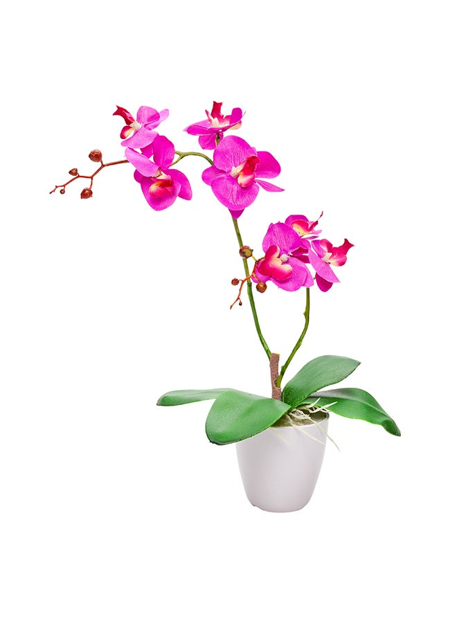 Restaurantware مطاعم - 4 × 15 بوصة أوركيد العثة الاصطناعية، 12 أوركيد مزروعة مزيفة - 8 أزهار، استخدمها كقطع مركزية، ديكور منزلي أو مكتبي، أوركيد مزيف بلاستيكي بلون الماجنتا، لحفلات الزفاف أو الحفلات، في أصص بلاستيكية - Image 1