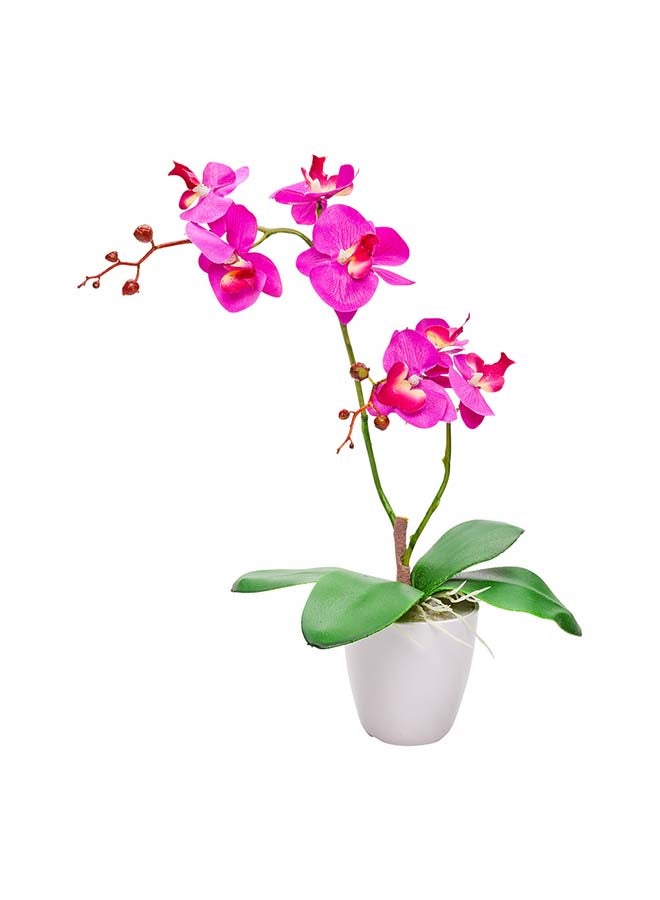 Restaurantware مطاعم - 4 × 15 بوصة أوركيد العثة الاصطناعية، 12 أوركيد مزروعة مزيفة - 8 أزهار، استخدمها كقطع مركزية، ديكور منزلي أو مكتبي، أوركيد مزيف بلاستيكي بلون الماجنتا، لحفلات الزفاف أو الحفلات، في أصص بلاستيكية - Image 2