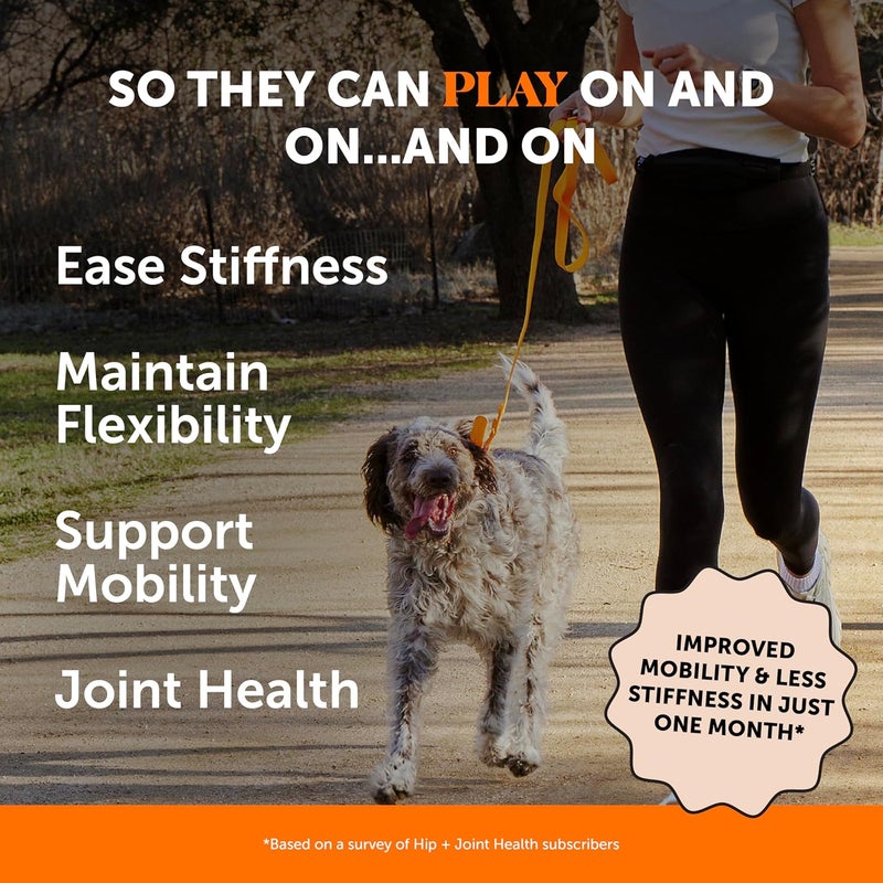Pet Honesty Hip + Joint Supplement for Dogs - Image 2