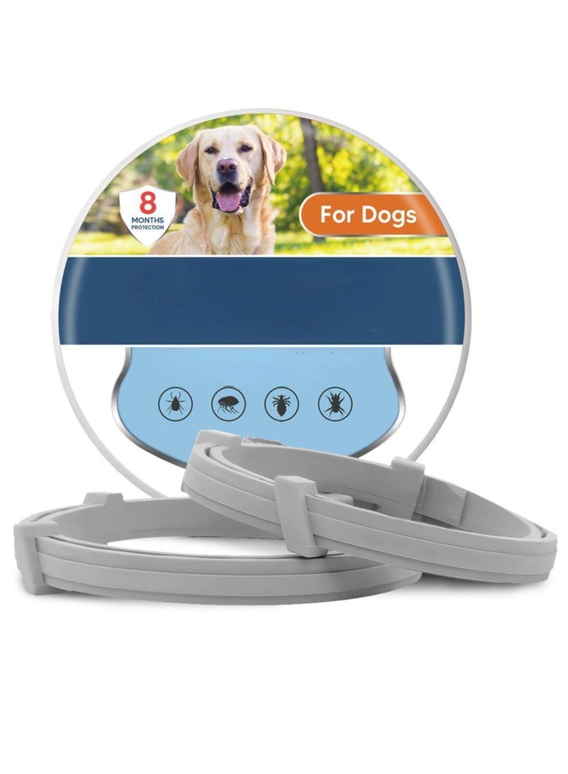 عبوتان من طوق الكلاب القابل للتعديل المضاد للبراغيث والحشرات، طوق الكلاب الكبير، طوق الكلاب الآمن للوقاية من البراغيث والحشرات لمدة 8 أشهر - Image 1