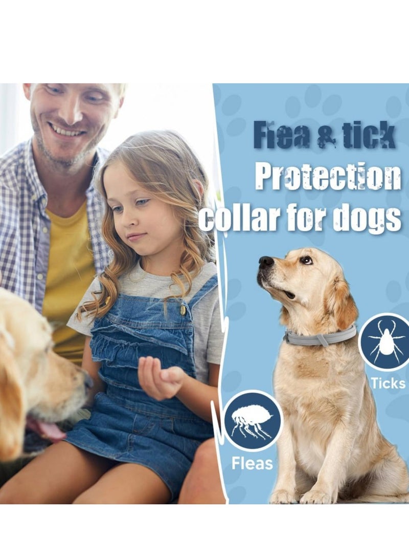 عبوتان من طوق الكلاب القابل للتعديل المضاد للبراغيث والحشرات، طوق الكلاب الكبير، طوق الكلاب الآمن للوقاية من البراغيث والحشرات لمدة 8 أشهر - Image 2