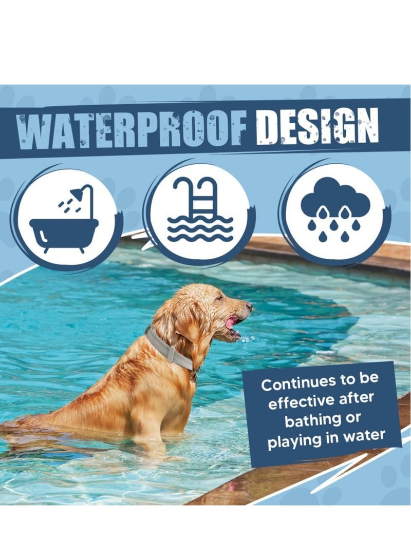 عبوتان من طوق الكلاب القابل للتعديل المضاد للبراغيث والحشرات، طوق الكلاب الكبير، طوق الكلاب الآمن للوقاية من البراغيث والحشرات لمدة 8 أشهر - Image 4