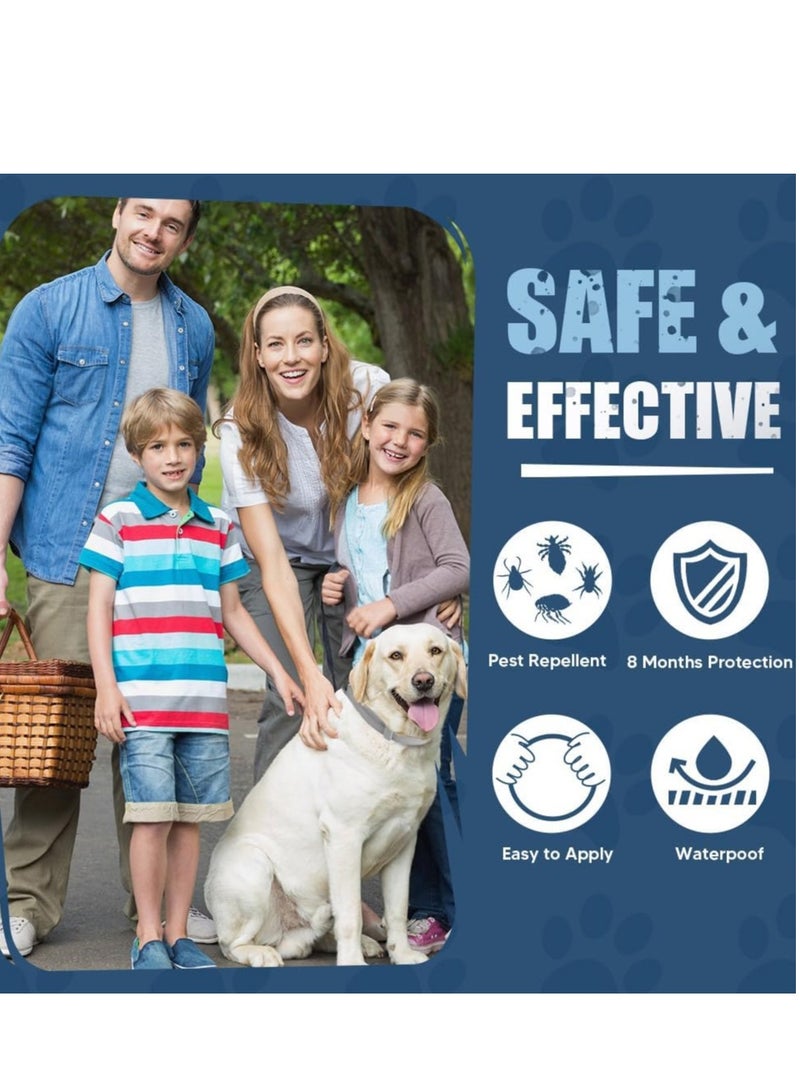 عبوتان من طوق الكلاب القابل للتعديل المضاد للبراغيث والحشرات، طوق الكلاب الكبير، طوق الكلاب الآمن للوقاية من البراغيث والحشرات لمدة 8 أشهر - Image 3