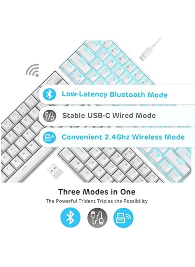 Rk61 Wireless 60% Mechanical Gaming Keyboard Ultra Compact Bluetooth Keyboard With Tactile Blue Switches Compatible For Multi Device Connection White