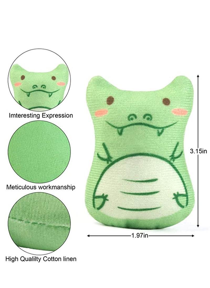 Y&D - 5 PCS Plush Cat Chew Toys Teething Interactive Catnip Filled Kitten Toy Soft Pet - Image 1