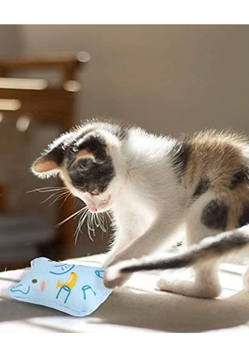 Y&D - 5 PCS Plush Cat Chew Toys Teething Interactive Catnip Filled Kitten Toy Soft Pet - Image 1