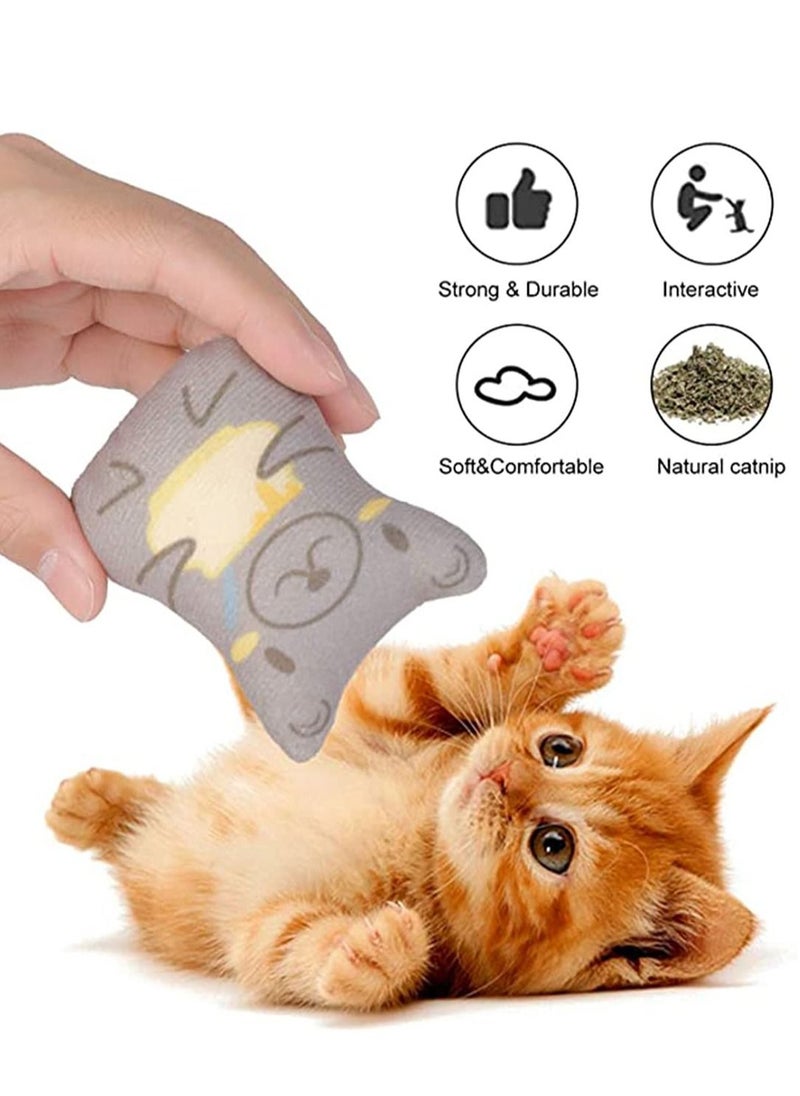 Y&D - 5 PCS Plush Cat Chew Toys Teething Interactive Catnip Filled Kitten Toy Soft Pet - Image 1