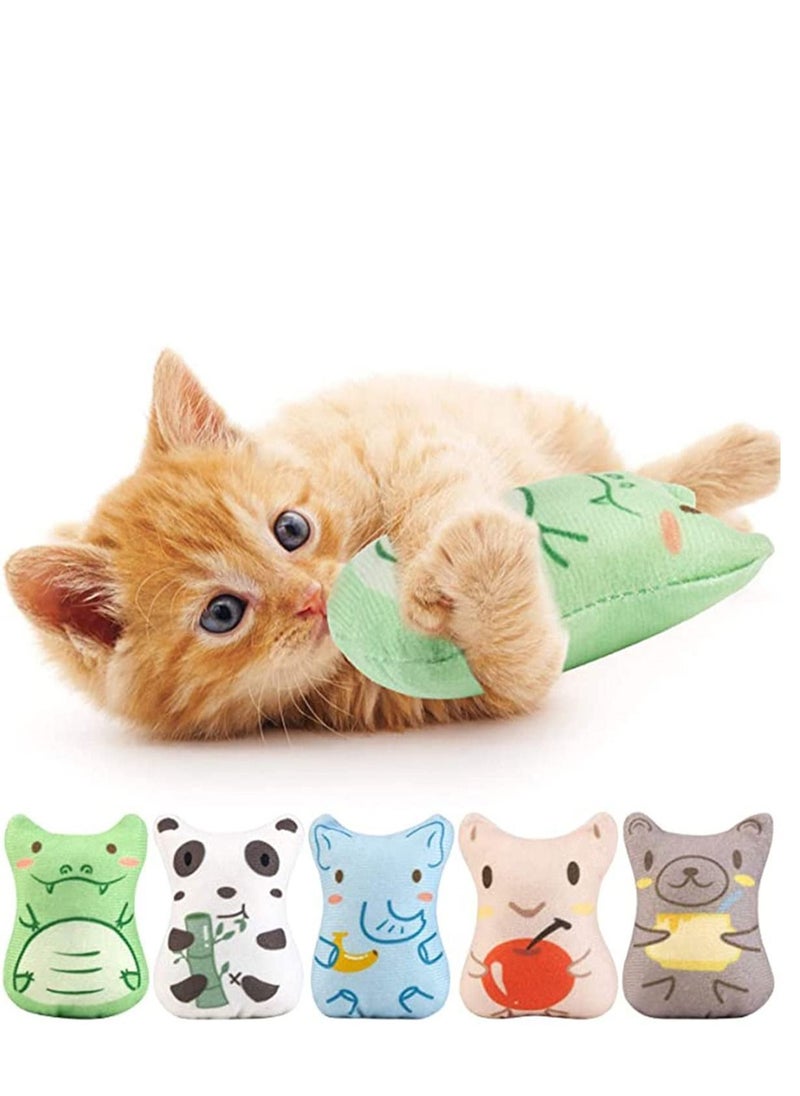 Y&D - 5 PCS Plush Cat Chew Toys Teething Interactive Catnip Filled Kitten Toy Soft Pet - Image 1