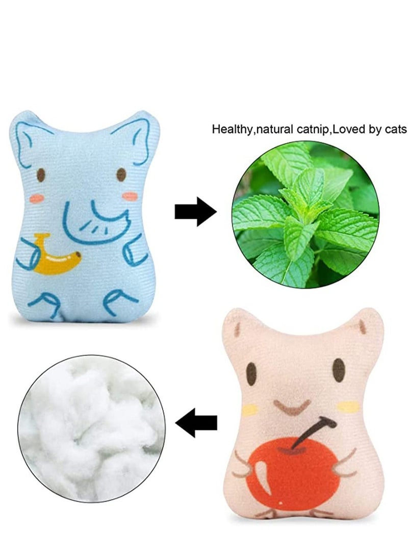 Y&D - 5 PCS Plush Cat Chew Toys Teething Interactive Catnip Filled Kitten Toy Soft Pet - Image 1