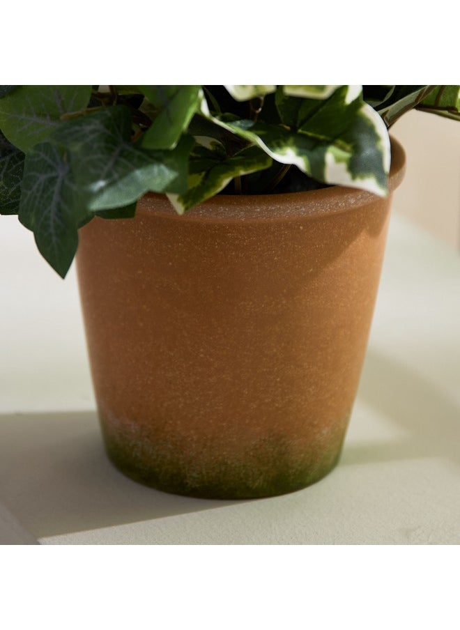 Home Box Liara Ivy Leaves Potted Plant In Pot 28 Cm  - Image 3