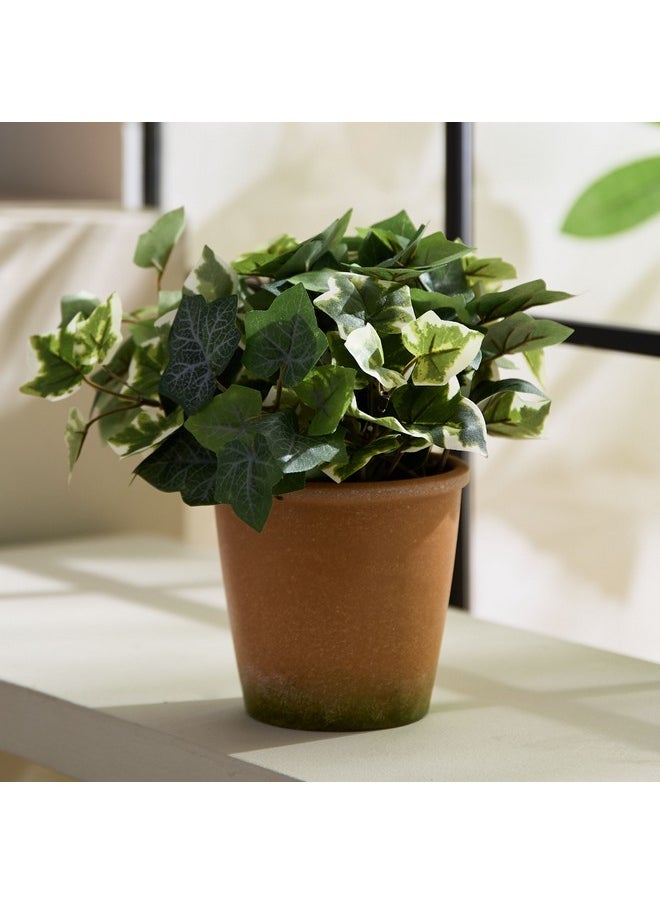 Home Box Liara Ivy Leaves Potted Plant In Pot 28 Cm  - Image 1