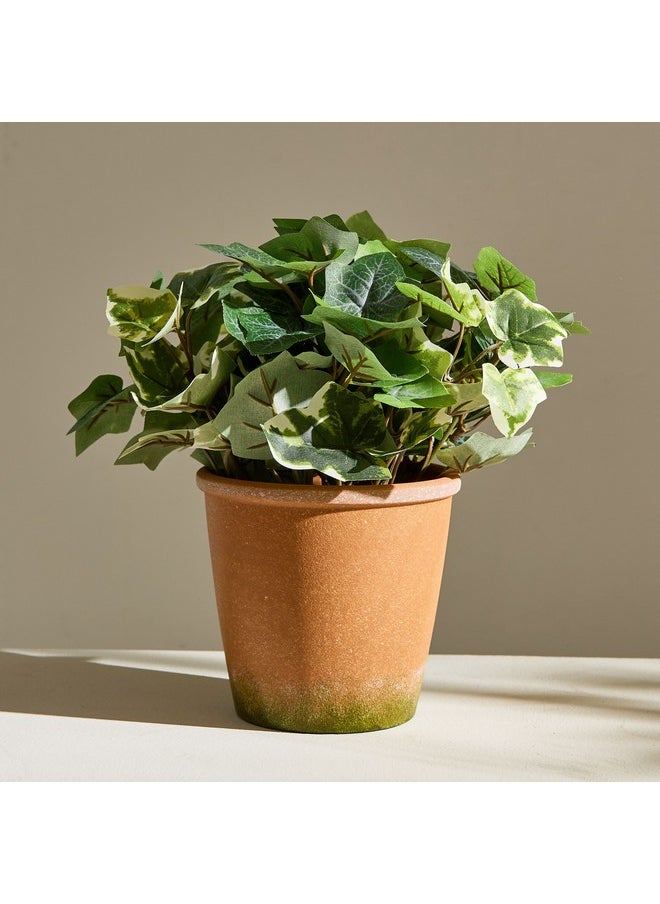 Home Box Liara Ivy Leaves Potted Plant In Pot 28 Cm  - Image 5