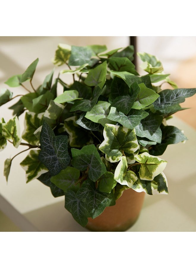 Home Box Liara Ivy Leaves Potted Plant In Pot 28 Cm  - Image 2