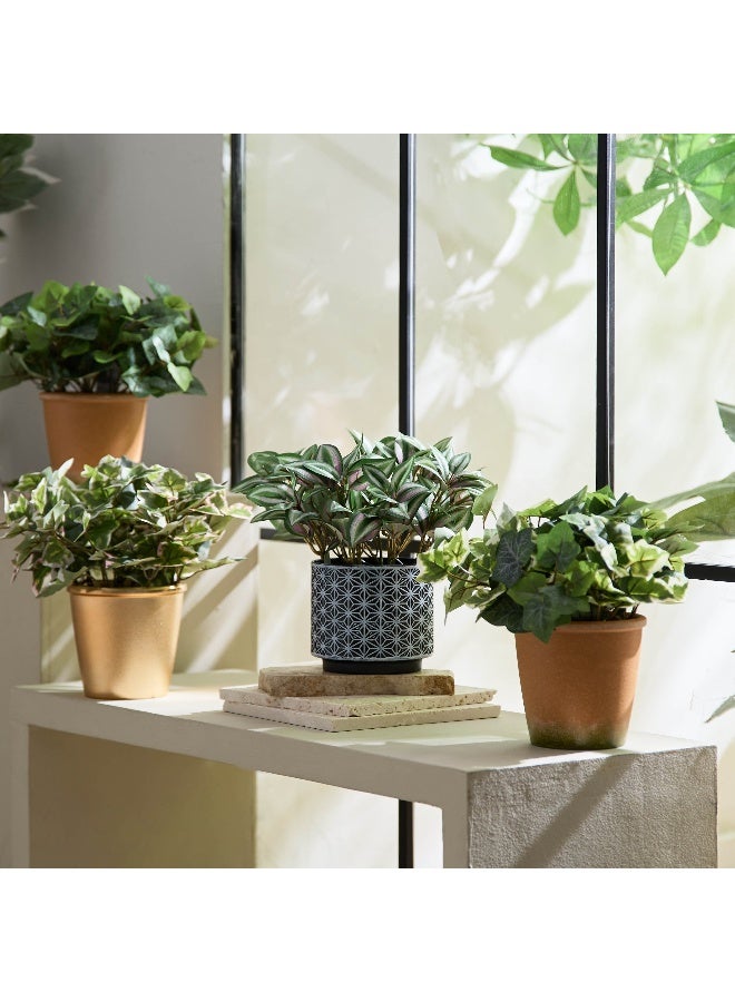 Home Box Liara Ivy Leaves Potted Plant In Pot 28 Cm - Image 5