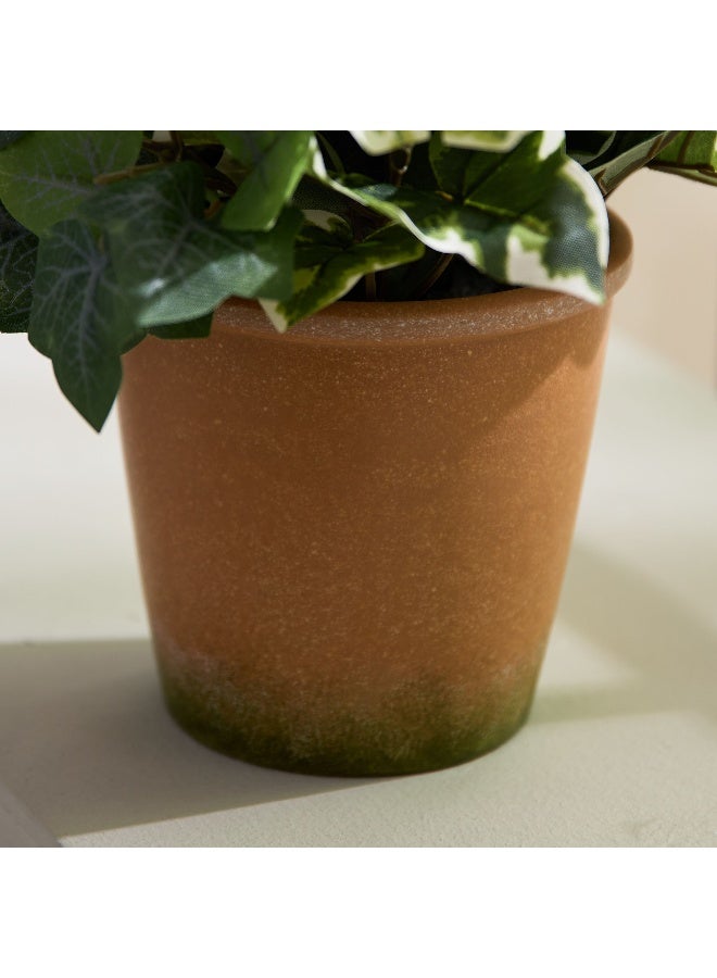 Home Box Liara Ivy Leaves Potted Plant In Pot 28 Cm - Image 4