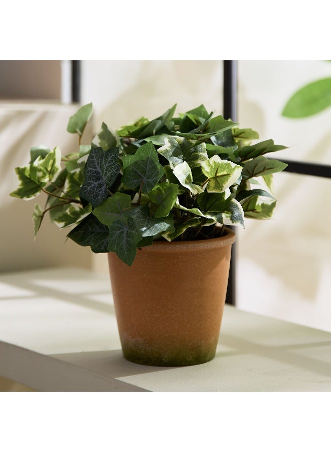 Home Box Liara Ivy Leaves Potted Plant In Pot 28 Cm - Image 2
