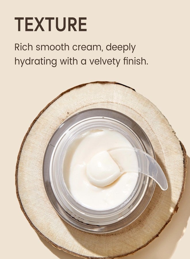 GINGER6 PEPTI Cream for Face - Hydrating and Firming Formula with 52% Ginger Water, Niacinamide, and Adenosine, Overnight Korean Skincare, 1.69 fl oz. - Image 5