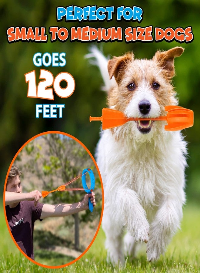 Funwares Ring Strike Fetch, Spare Arrows (Set of 2) - Image 3