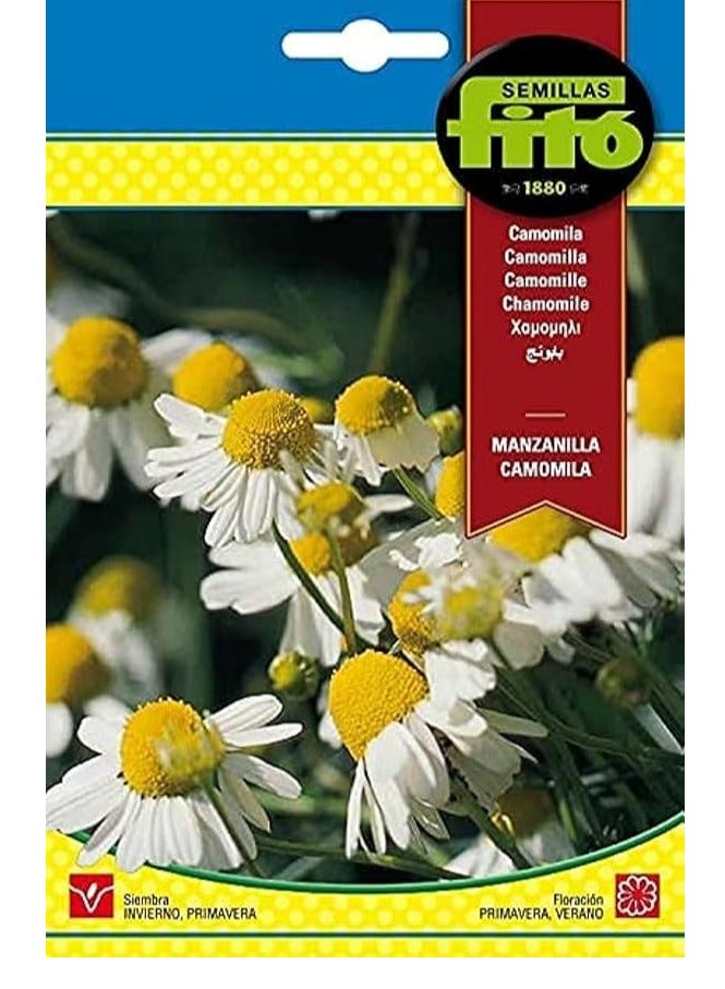 فيتو بذور البابونج مانزانيلا كامويلا من فيتو - Image 1