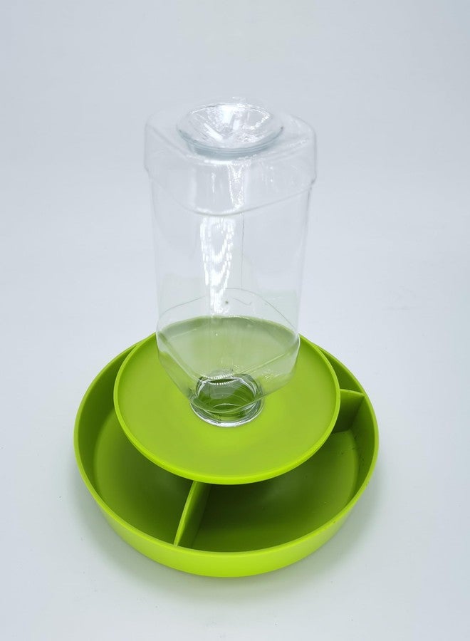 IAFVKAI 2 in 1 Reptile Food Feeding Bowl Lizard Feeder Pet Automatic Water Dispenser for Turtle Chameleon Amphibian Bearded Dragon Snake Green - Image 1