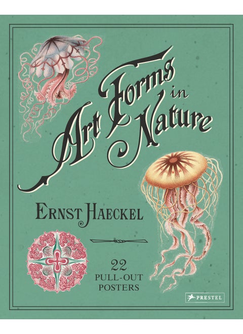 Art Forms in Nature