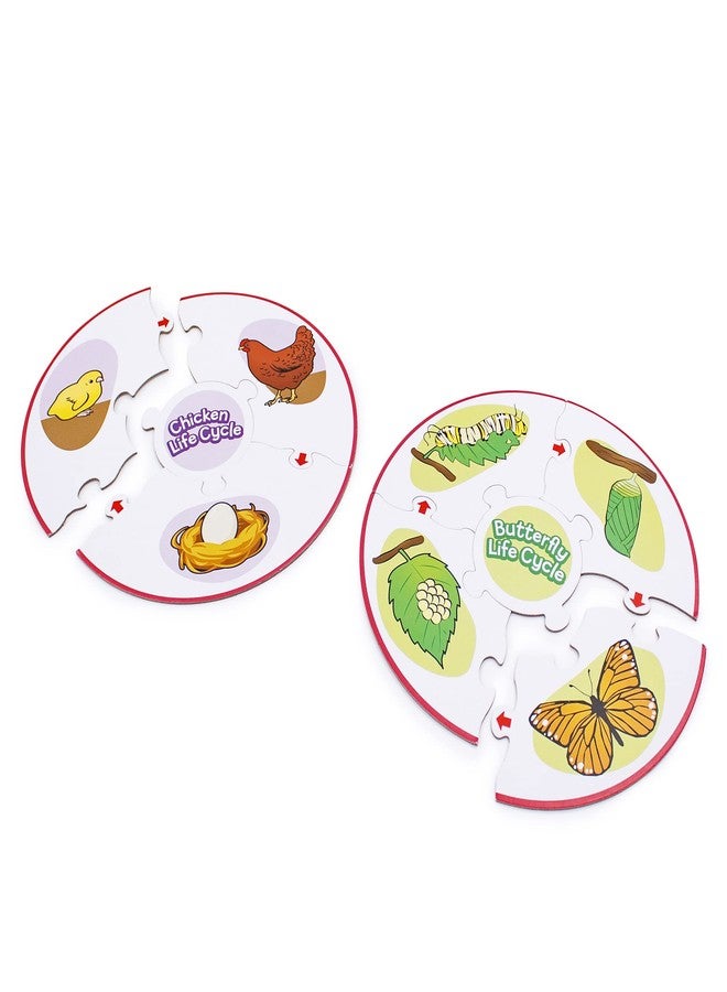 Junior Learning Life Cycle Science Learning Puzzles - Image 4