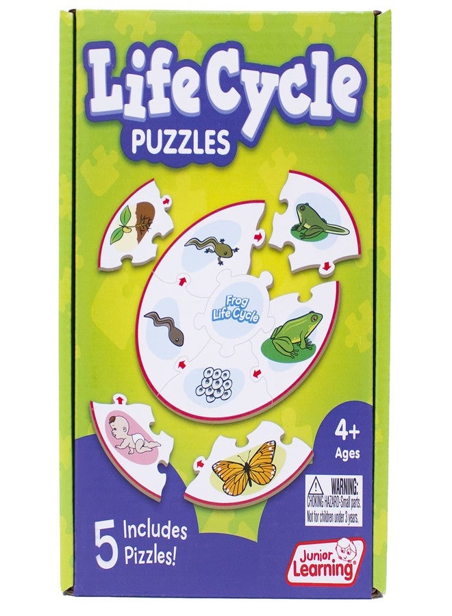 Junior Learning Life Cycle Science Learning Puzzles - Image 5