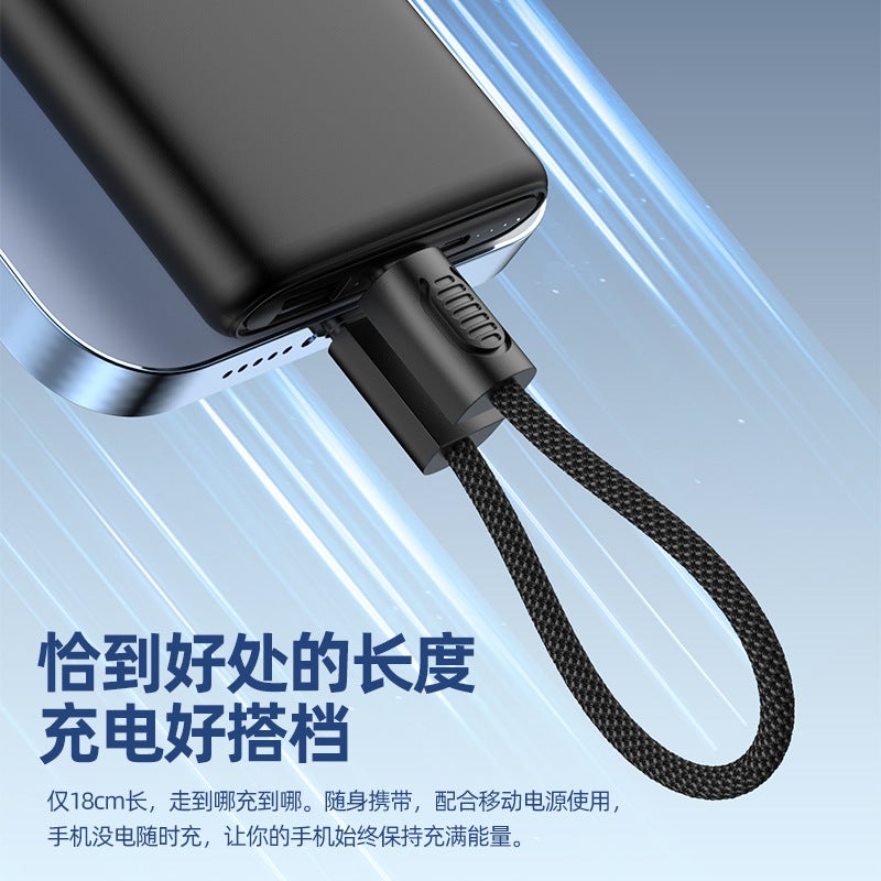 Keychain Lanyard Dual Type-C Charging Cable PD Fast Charging for iPhone 15 - Image 3