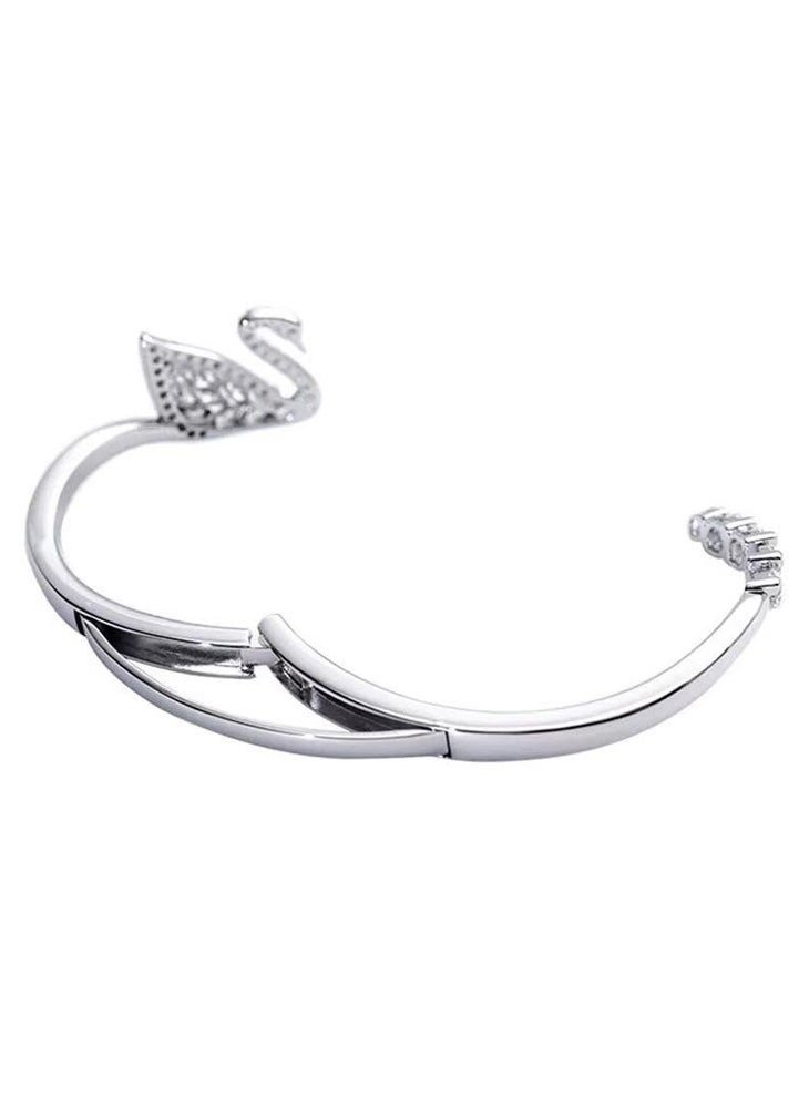 سوار بحيرة البجع