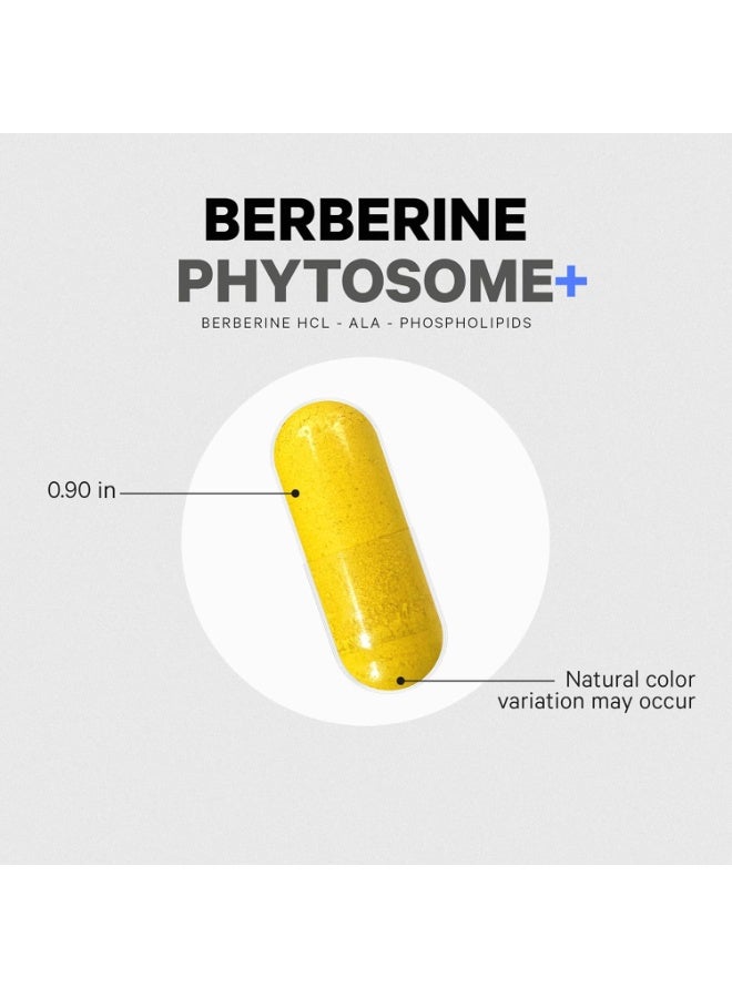 Codeage Berberine Phytosome Supplement - Berberine HCL, Alpha Lipoic Acid, Phospholipid Complex - 2-Month Supply - Berberine HCL - Berberine Hydrochloride - Gluten-Free, Non-GMO - 60 Capsules - Image 3