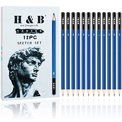 HB H & B 12 PCS Pencil Drawing Kit, H-4H, F, HB, B-6B Graphite and Charcoal Sketch Pencil Set for Beginners, Professional Artists - Image 1