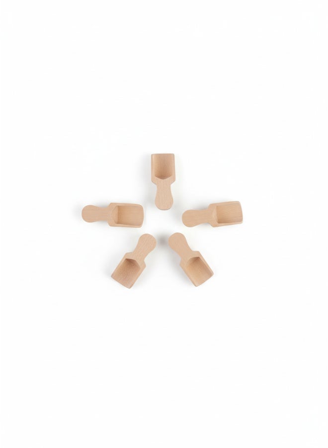 كذا هوم كاسا هوم طقم مغارف خشبية طبيعية 5 قطع مغارف صغيرة لبرطمانات التوابل والمطبخ مصر - Image 3