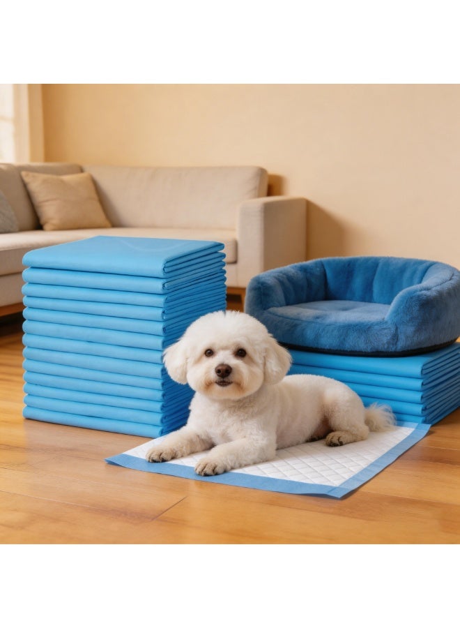 Disposable Absorbent Quick Drying Leak-Proof Pee Pads, Disposable Training Pads For Pets with 5 Highly Absorbent Layers, Puppy Pads For Potty Training For Pets 60X60cm, 40 Pieces - Image 4