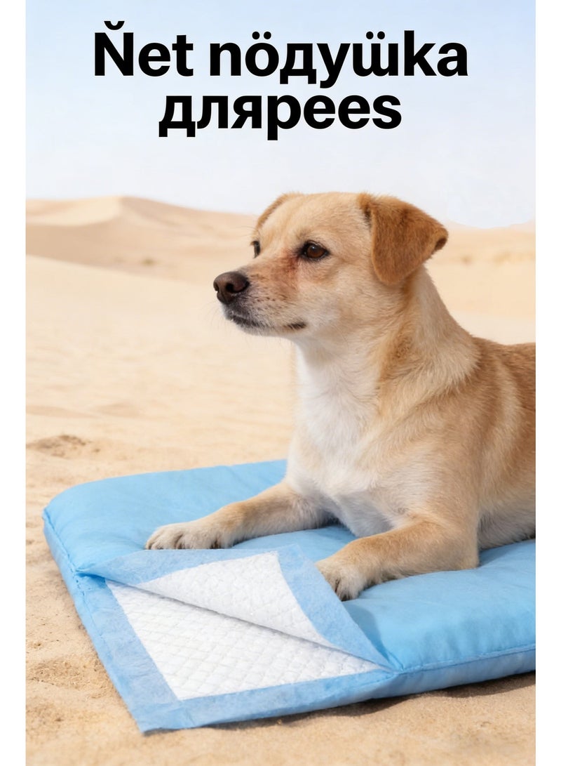 وسادات تبول للاستعمال مرة واحدة، سريعة الجفاف ومضادة للتسرب، وسادات تدريب للحيوانات الأليفة تستخدم لمرة واحدة مع 5 طبقات عالية الامتصاص، وسادات للجراء للتدريب على استخدام المرحاض للحيوانات الأليفة مقاس 60 × 60 سم، 40 قطعة - Image 2