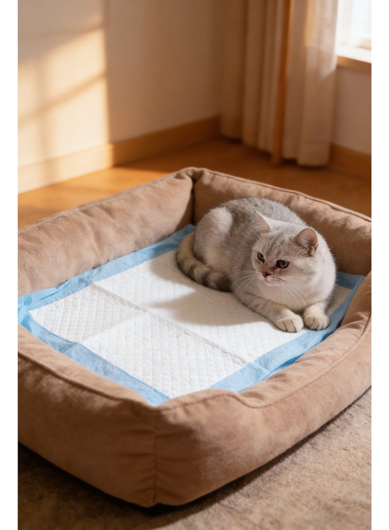 وسادات تبول للاستعمال مرة واحدة، سريعة الجفاف ومضادة للتسرب، وسادات تدريب للحيوانات الأليفة تستخدم لمرة واحدة مع 5 طبقات عالية الامتصاص، وسادات للجراء للتدريب على استخدام المرحاض للحيوانات الأليفة مقاس 60 × 60 سم، 40 قطعة - Image 4