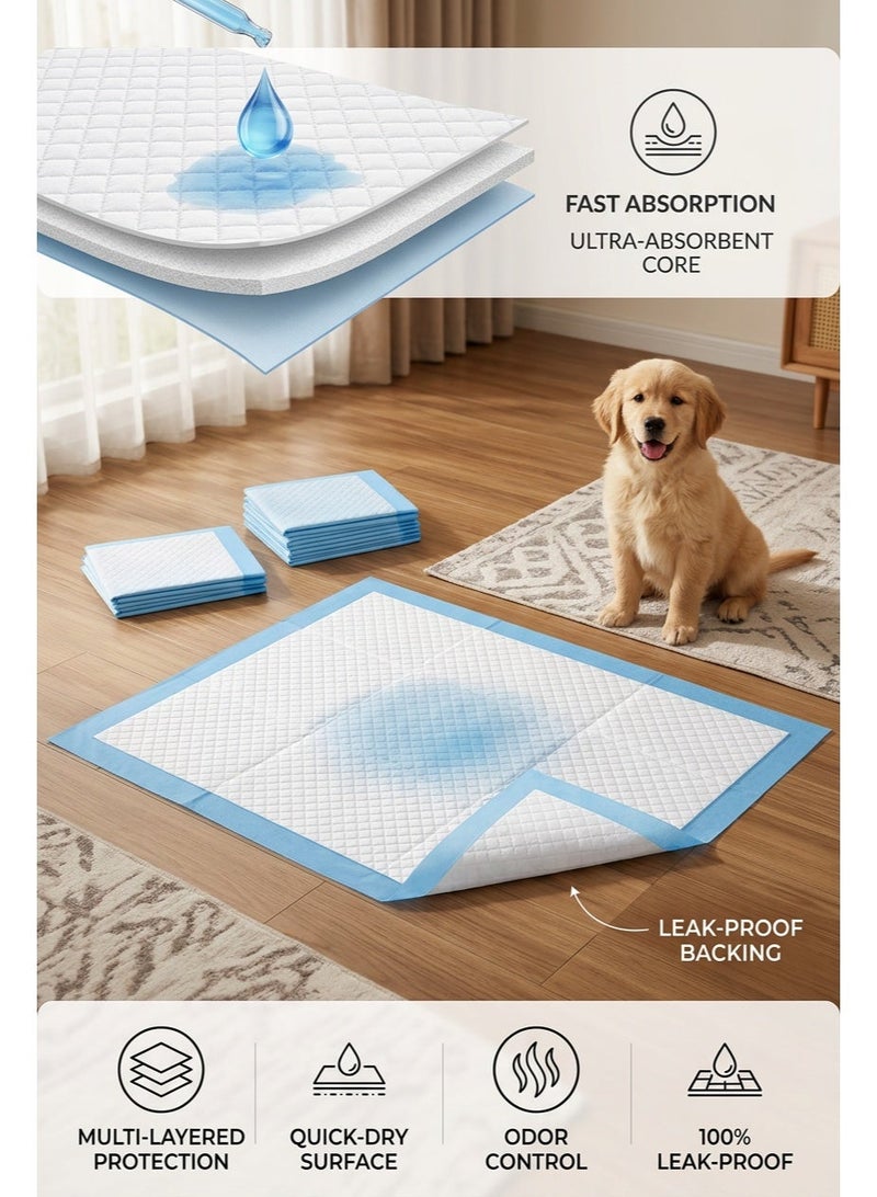 40 Pieces Puppy Pads, Dog Pads & Pet Pee Pads, Non-Woven Material, Quick Absorption & Leak-Proof, Anti-Odor & Anti-Slip Bottom, for Puppy & Kitten Training, Indoor Cage, Home & Pet Store, Suitable for Pet Owners, Breeders & Apartment Dwellers, (60CM×60CM) - Image 1