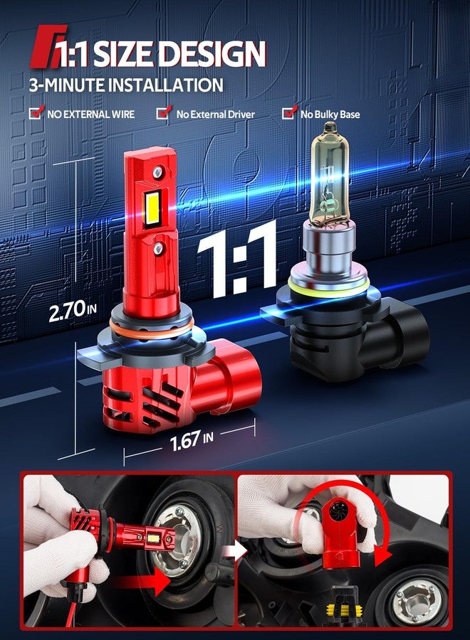 Torchbeam 2024 𝐔𝐩𝐠𝐫𝐚𝐝𝐞𝐝 Fog Bulbs Combo, 𝟵𝟬𝟭𝟮 𝟮𝟰𝟬𝟬𝟬𝗟𝗠 Fog Light Fog Powersports Bulbs for ATVS - Image 5