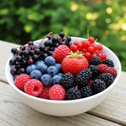 CZ Grain Fruit Garden Seeds Kit for Growing - Elderberry, Blueberry, Red Strawberry, White Strawberry, Raspberry, Mulberry. 100 Seeds of Each Fruit - Packaged Individually - Image 1