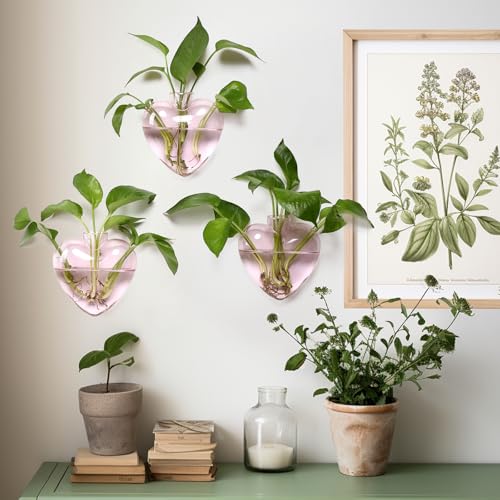 CYZglass Wall Hanging Planter Propagation Station for Indoor Plants Glass Vase Air Plant Holder Gift for Women Girlfriend Plant Lover - Image 3