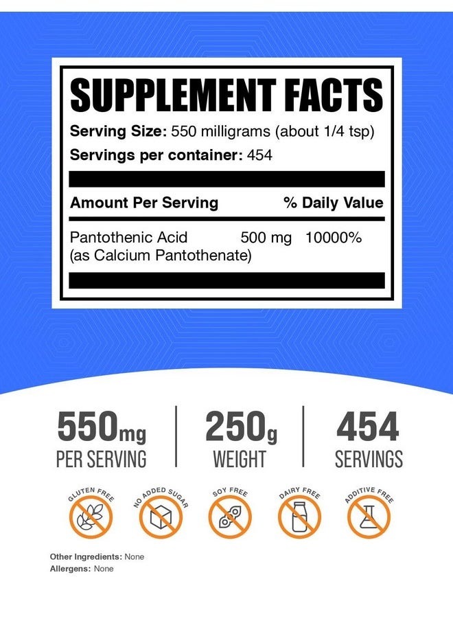 بالك سابلمنتس مسحوق فيتامين ب5 من BulkSupplements.com - على هيئة بانتوثينات الكالسيوم، فيتامينات ب5 - خالية من الجلوتين، 500 ملجم من حمض البانتوثنيك بفيتامين ب5 لكل وجبة، 250 جرام (8.8 أونصة) (عبوة من قطعة واحدة)  - Image 2