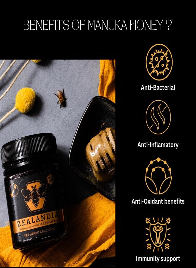 ZEALANDIA Premium Manuka Honey Bronze Label, Certified MGO 100+ (250g), 100% Pure Manuka Honey New Zealand Multifloral - Pure & Rich, (Pack of 1) - Image 4