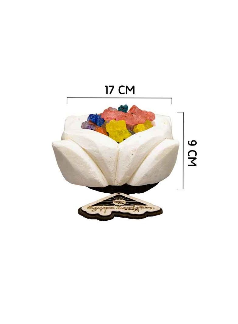 Egypt Antiques Lampshades from the lotus flower, 100% natural rock salt, completely handmade  - Image 3