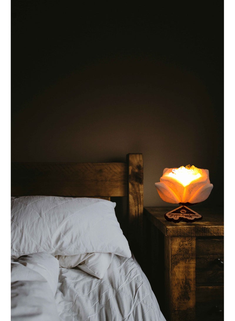 Egypt Antiques Lampshades from the lotus flower, 100% natural rock salt, completely handmade  - Image 2