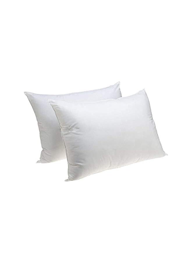 Soft Plain Microfiber Pillow Set 50X75Cm White 2 Pieces I012 - pzsku/Z7CFCB3BA7D487B431B46Z/45/_/1704173991/f3489642-dbd5-4380-b0f7-66b87d409136