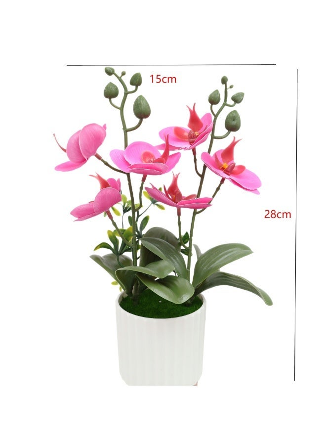 OASIS-TH Artificial Orchids Phalaenopsis Orchid Bonsai Flower Plant Pot Plastic Faux Flowers Arrangement for Home Centerpiece Table Decor & Dried Forest Moss For Potted Plants Moss,150g Natural Moss Potting Mix Indoor Ideal Moist Repotting Sphagnum Orchid Soil Medium, Terrarium Decor, Natural Reptile Vine & Simulation Moss Flocking Animal Rabbit Garden Courtyard Window Decoration Moss Wall Bunny Topiary Simulation Rabbit Decor Micro Landscape Decoration Flocking AdornmentBundle - Image 2