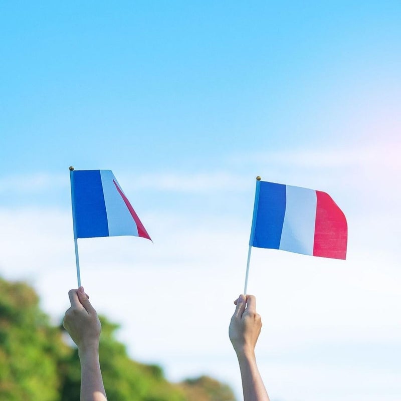 28Pcs Hand Held France Flags on Sticks for Party Sports Events Mini French - Image 4